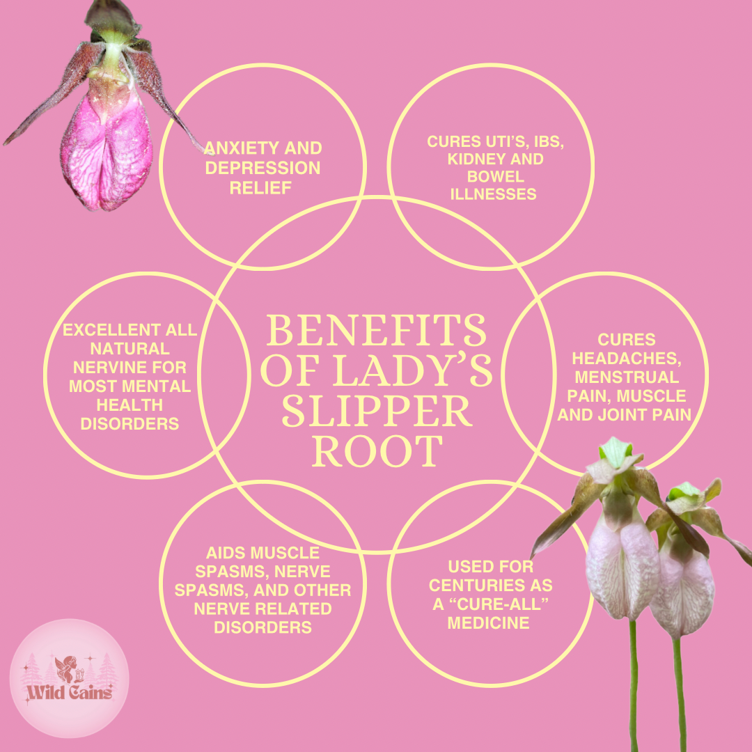Lady’s Slipper Root Tincture (30ml)