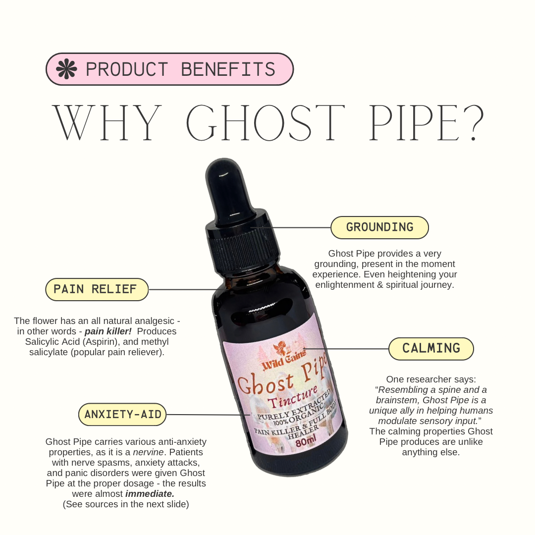 Ghost Pipe Tincture (30ml)