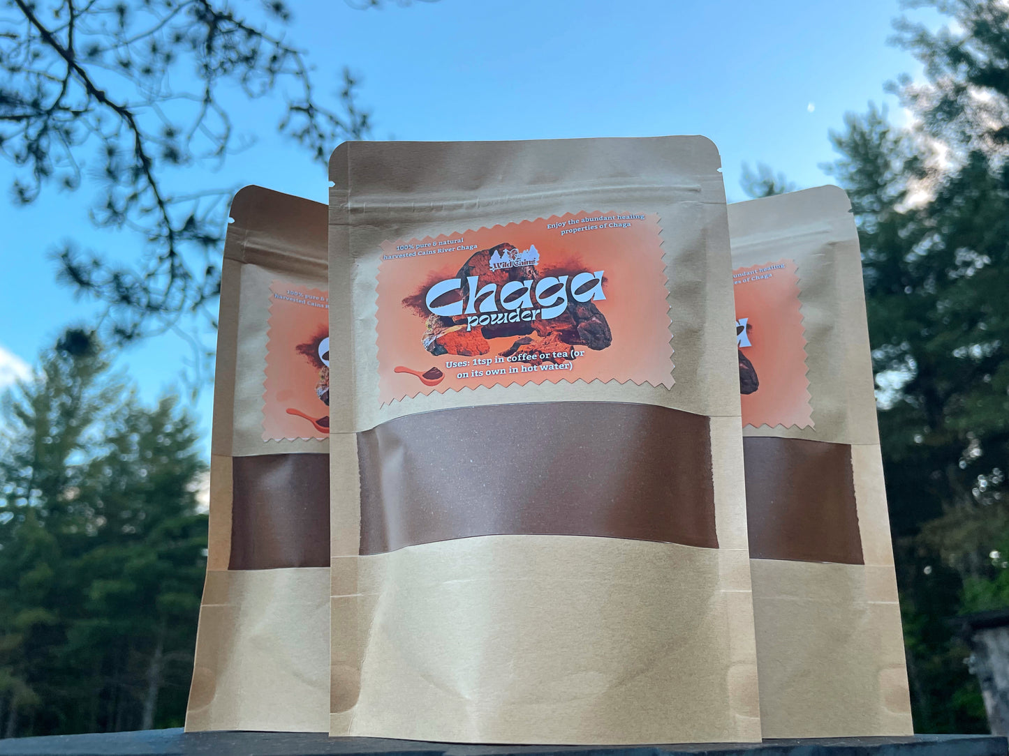 Chaga Powder (4oz)